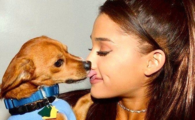 Ariana Grande loves dogs boundless