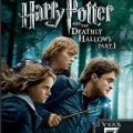 Harry Potter and The Deathly Hallows: Part 1 (2010)