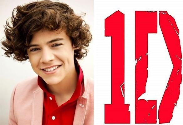 One Direction logo was designed by Harry Styles