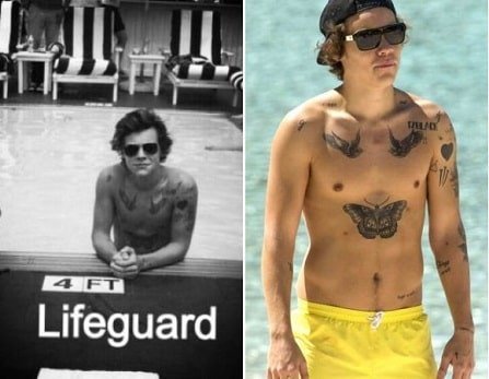 Harry Styles wanted to be a professional lifeguard