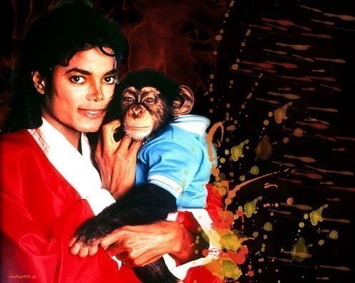 Michael Jackson pet chimpanzee The Bubbles