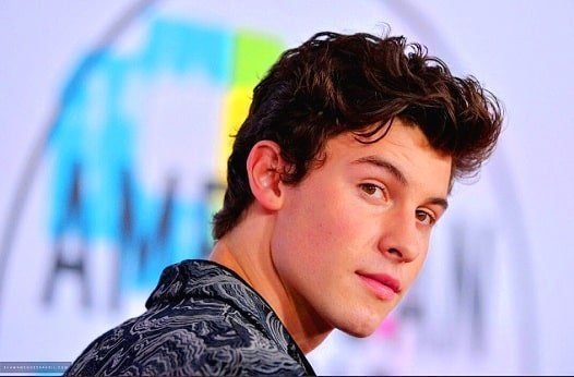 Is Shawn Mendes depressed