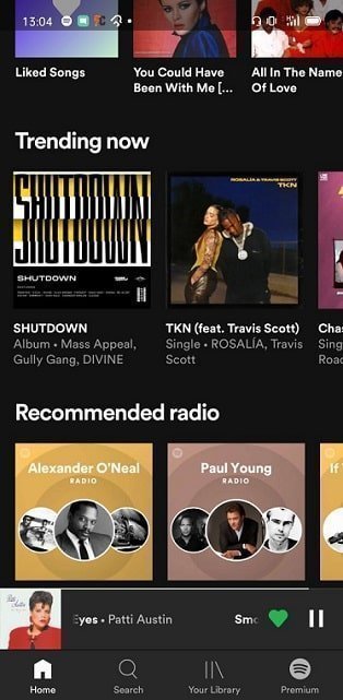 Spotify mobile app screenshot