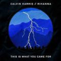 This Is What You Came For – Calvin Harris feat. Rihanna