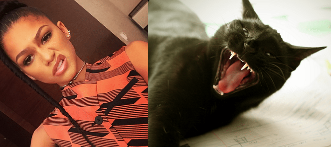 Zendaya is scared of black cats