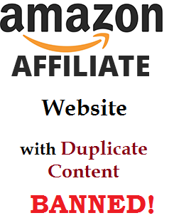 amazon affiliate website with duplicate content, banned