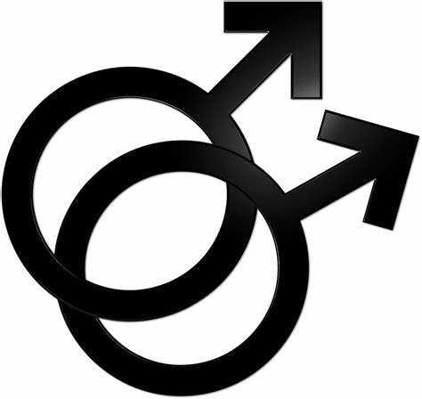 Gay marriage symbol