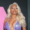 Megan Thee Stallion-Hiss