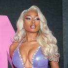 Megan Thee Stallion-Hiss