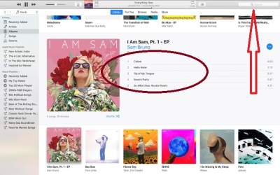How to purchase individual songs from itunes app?