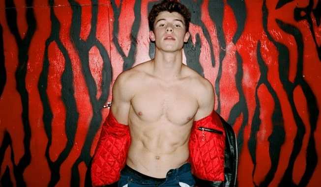 Nude pics of Shawn Mendes