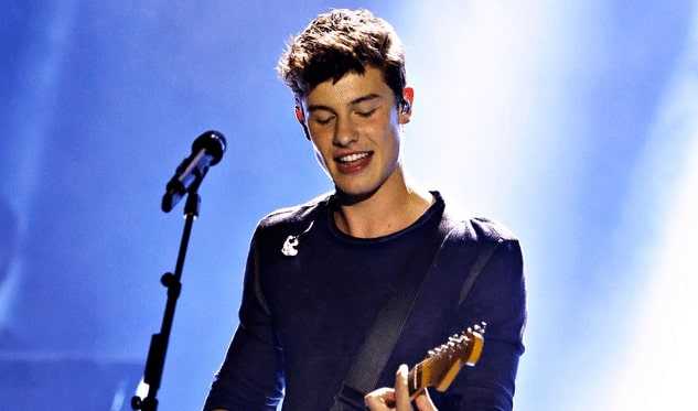 Shawn Mendes live performance