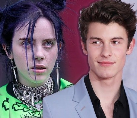 billie eilish humiliated shawn mendes on twitter